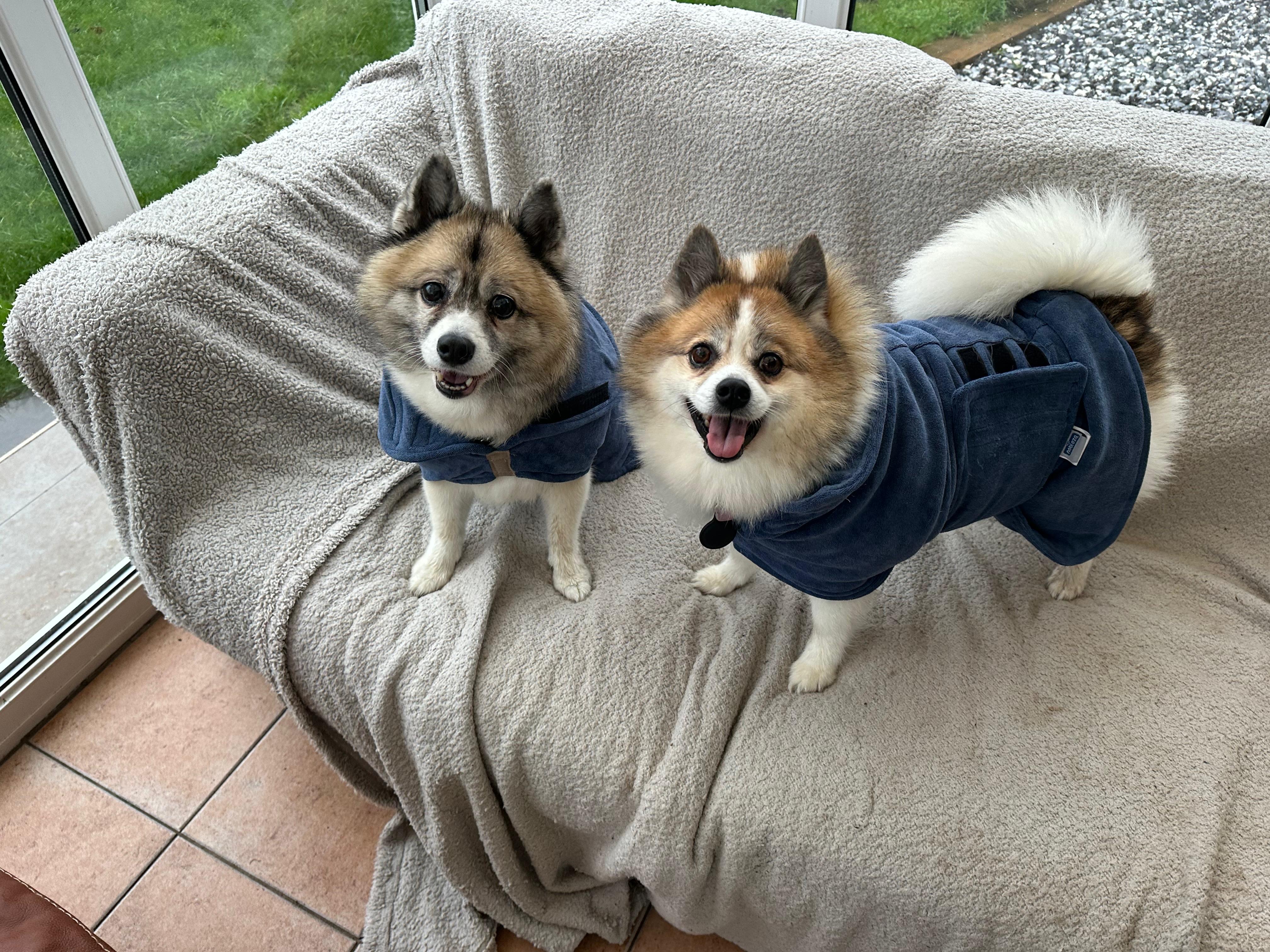 Jimmy, Sophie & Ralphy about us